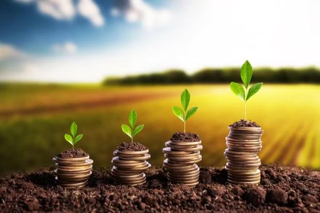 Arrendatários e grandes produtores puxaram inadimplência no campo em 2025, segundo a Serasa