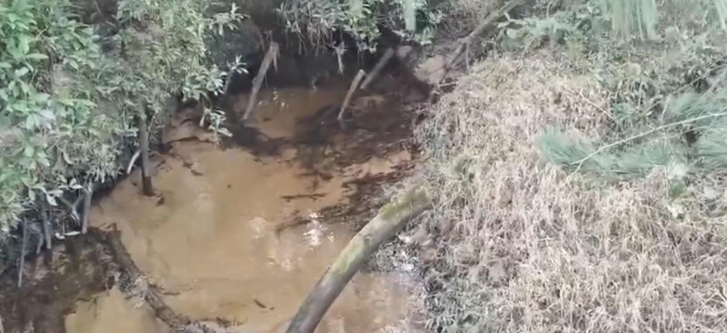 Fazendeiro é multado em R$ 260 mil por desmatamento em área de preservação