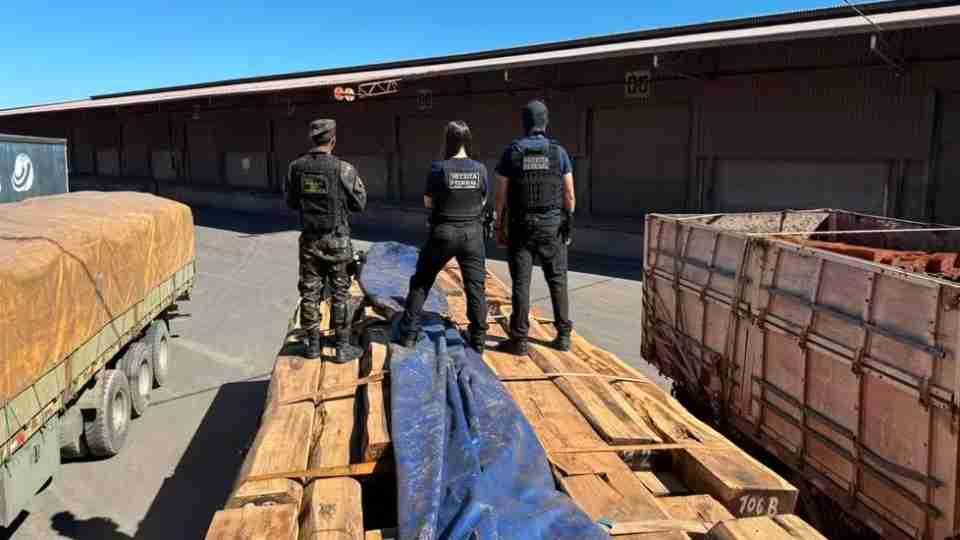 Operação internacional intercepta 260 toneladas de madeira com cocaína líquida na fronteira