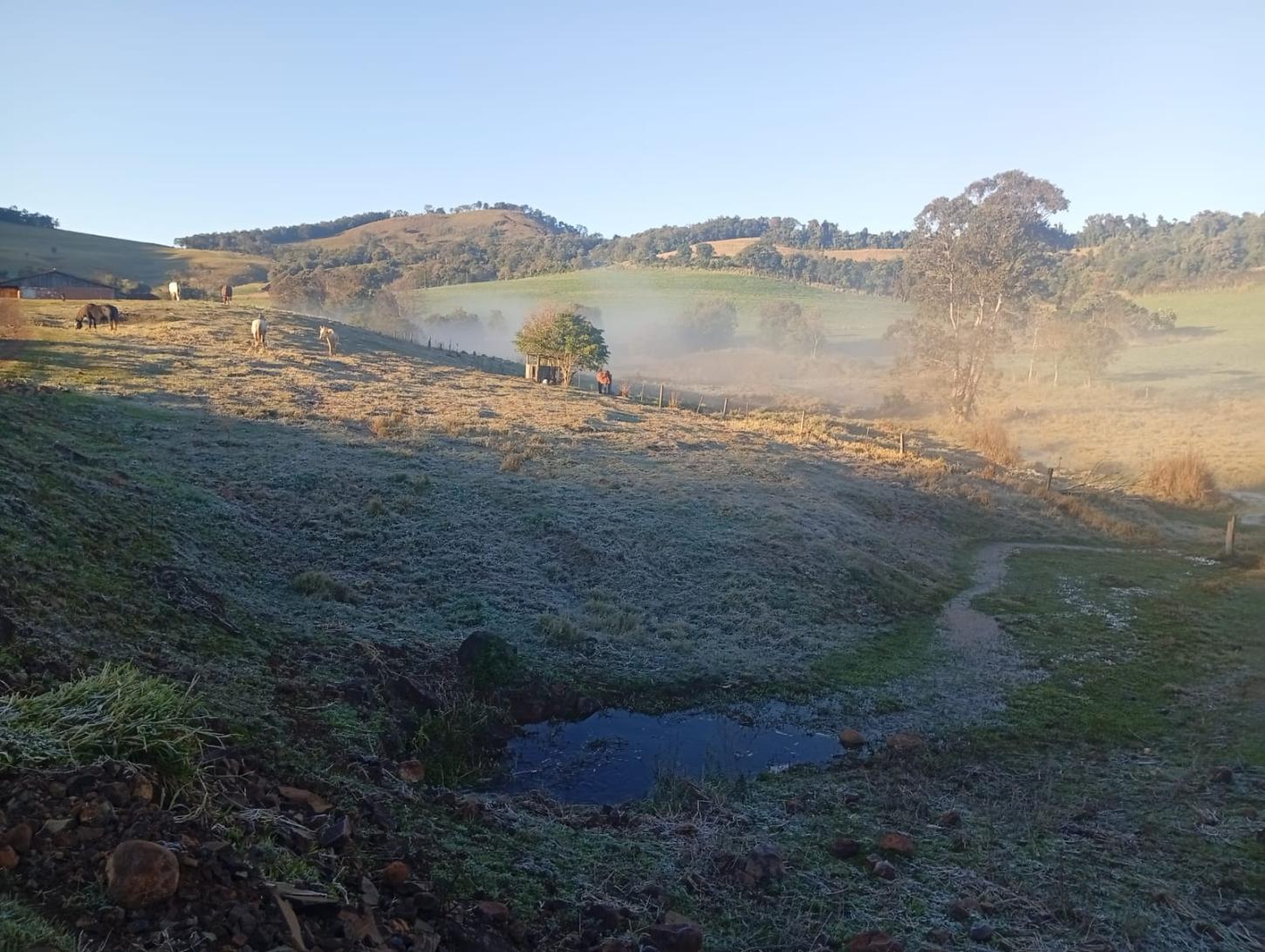 PREVISÃO DO TEMPO: Temperaturas próximas de 0°C e geada marcam a quarta-feira (24), em Santa Helena e região