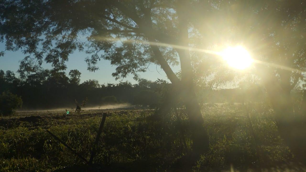 PREVISÃO DO TEMPO: Domingo (19/7), será marcado por sol, calor e ventania
