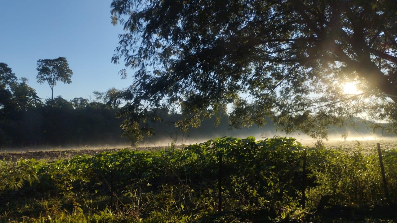 PREVISÃO DO TEMPO: Frio se mantém nesta terça-feira (14)