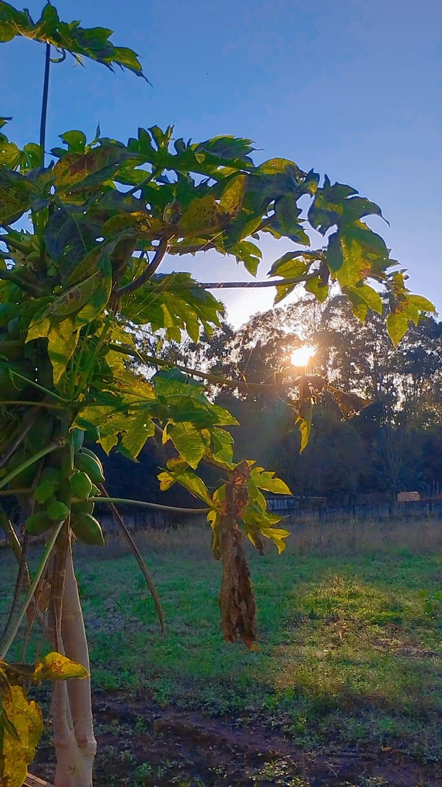 PREVISÃO DO TEMPO: Julho encerra com predomínio de sol e temperaturas elevadas