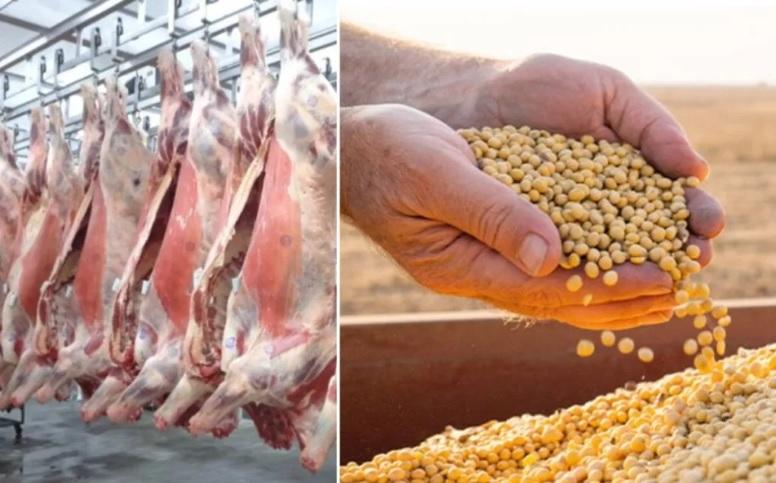 Brasil pode unificar rastreabilidade para blindar soja e carne