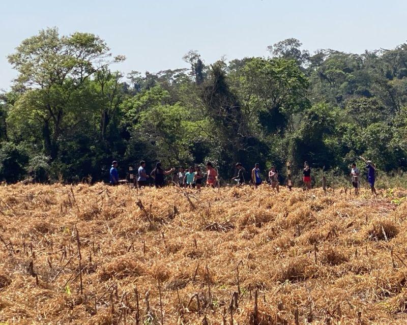 Indígenas voltam a invadir propriedade rural na região