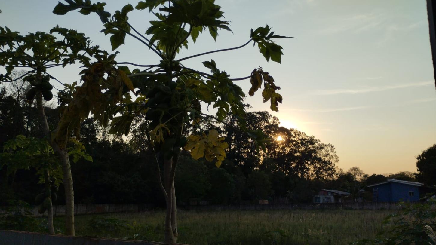 PREVISÃO DO TEMPO: sexta-feira (28), de sol e calor em Santa Helena e região
