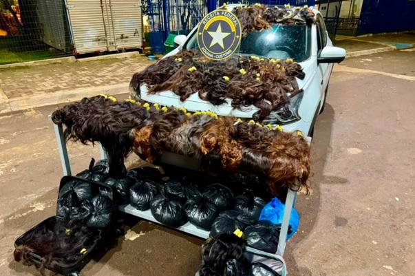 Receita Federal apreende 148 kg de cabelo humano avaliados em até R$ 1 milhão