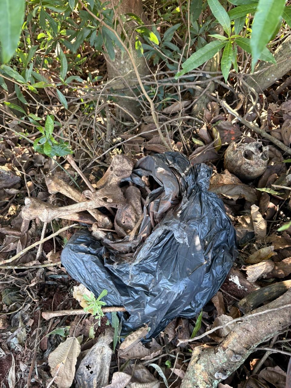 Cinco crânios e restos mortais são encontrados em sacos de lixo