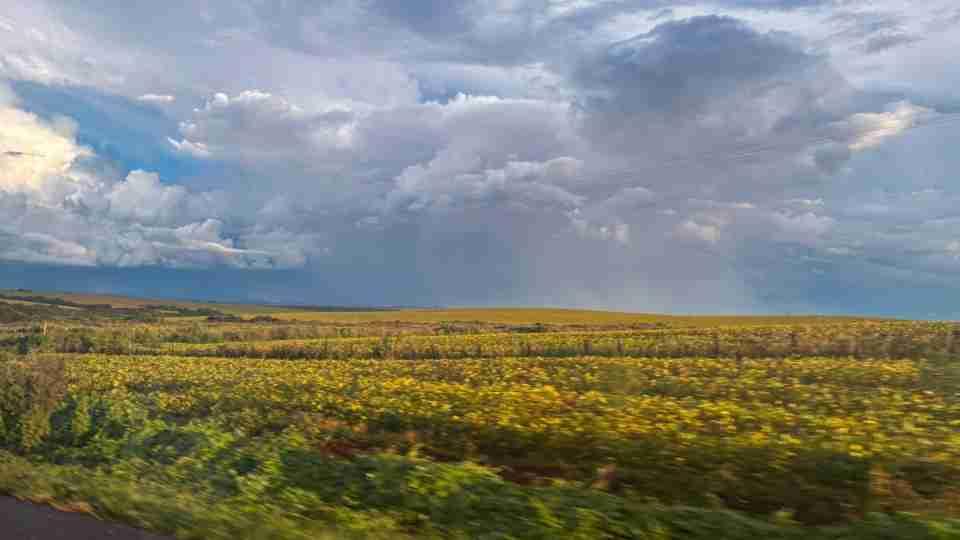 El Niño deve aumentar chuva no Sul e manter temperaturas acima da média no PR