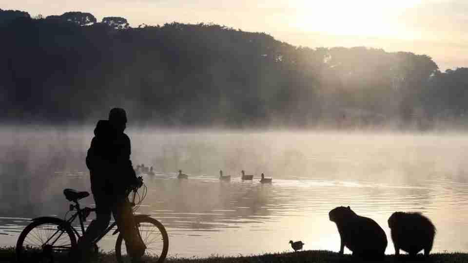 Paraná registra segunda menor temperatura do Brasil em agosto; Sul teve chuva acima da média