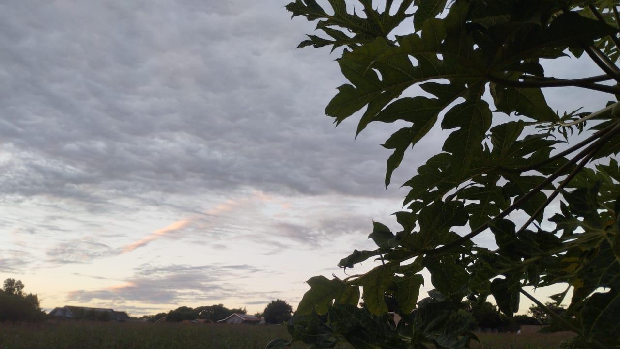 PREVISÃO DO TEMPO: Terça-feira (15), começa chuvosa, mas sol reaparece em Santa Helena e região