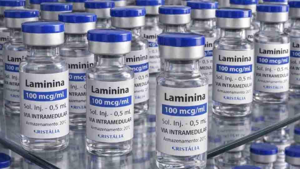 Testes clínicos fase 1 da polilaminina começam nesta quinta-feira (24/9)