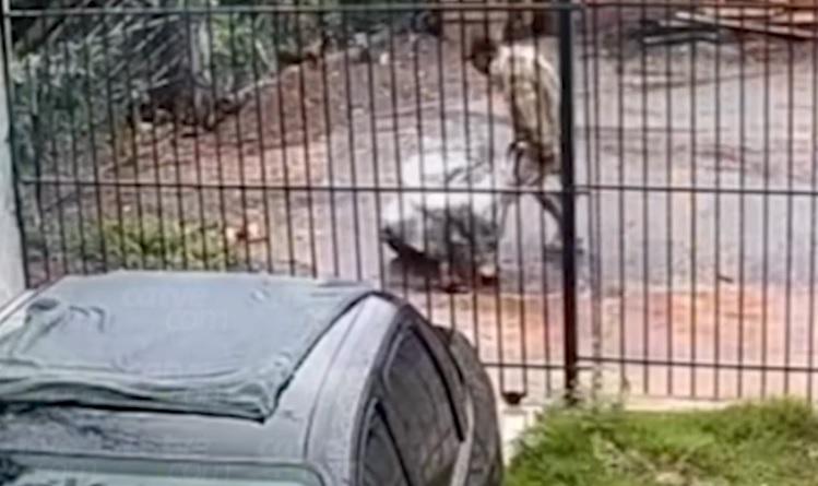 VÍDEO: mulher é agredida, colocada em saco com cal e abandonada na rua