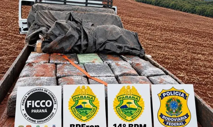 Ação integrada resulta na apreensão de mais de uma tonelada de maconha na região