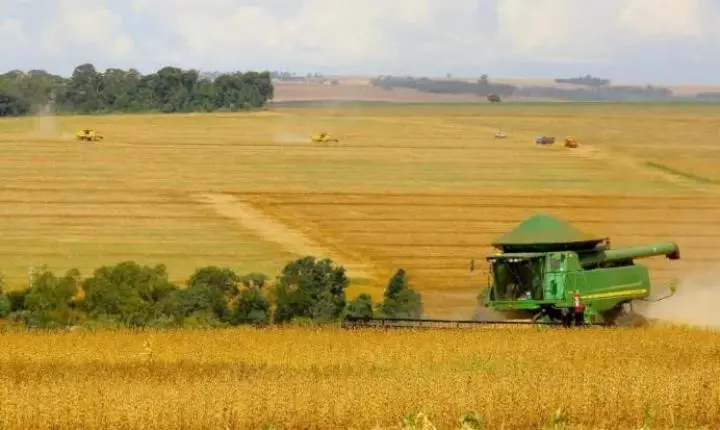 Agronegócio avança na busca por fontes alternativas ao crédito tradicional