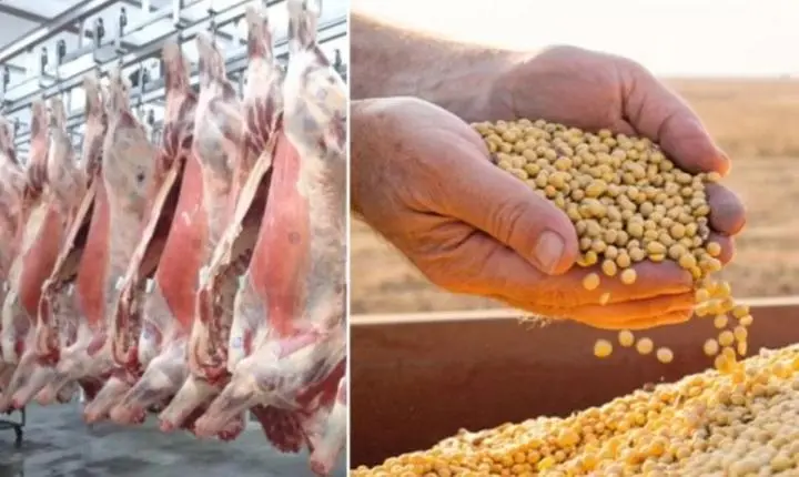 Brasil pode unificar rastreabilidade para blindar soja e carne