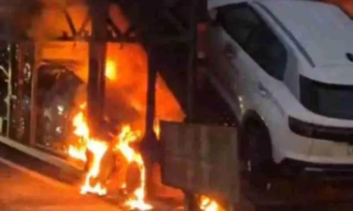 Caminhão-cegonha carregado com veículos pega fogo na BR-277 e interdita rodovia em Céu Azul