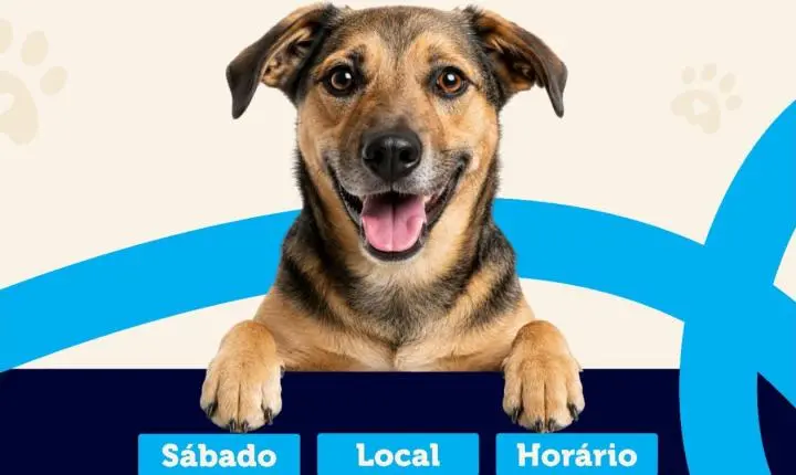 Canil Municipal de Santa Helena promove feira de adoção neste sábado