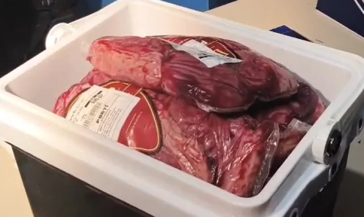 Dois funcionários são flagrados furtando 13 peças de picanha