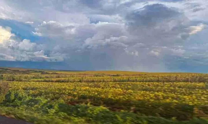 El Niño deve aumentar chuva no Sul e manter temperaturas acima da média no PR