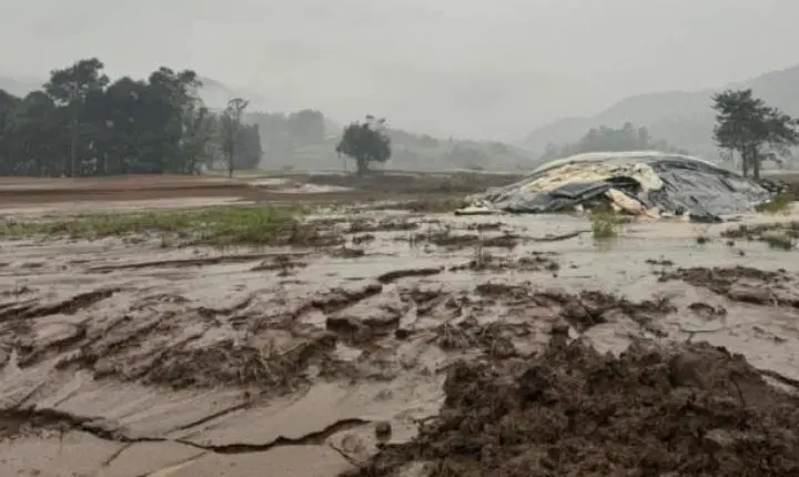 Falta de aviso sobre seguro agrícola pode gerar indenização ao produtor