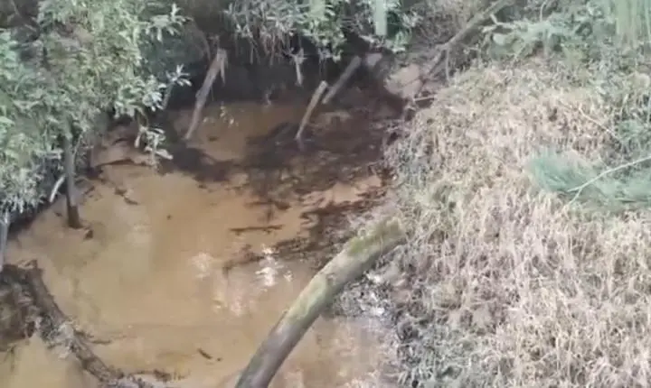 Fazendeiro é multado em R$ 260 mil por desmatamento em área de preservação