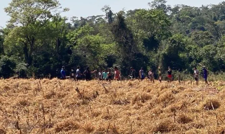 Indígenas voltam a invadir propriedade rural na região