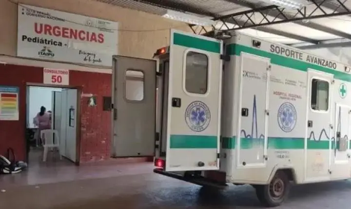 Infestação de pulgas fecha ala neonatal e obriga transferência de bebês em CDE