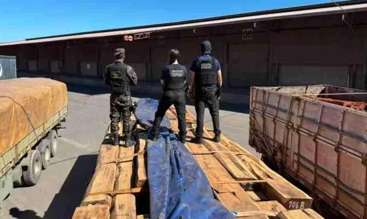 Operação internacional intercepta 260 toneladas de madeira com cocaína líquida na fronteira