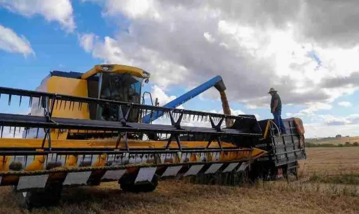 Paraná registra maior faturamento da história do agronegócio com R$ 213 bilhões