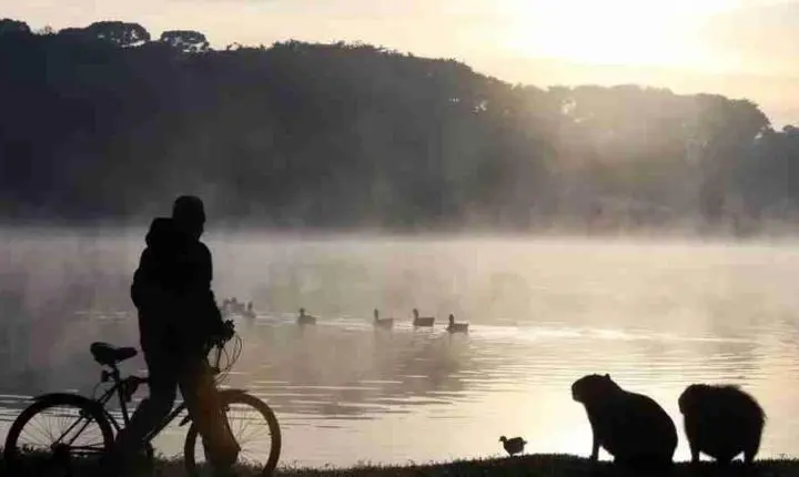 Paraná registra segunda menor temperatura do Brasil em agosto; Sul teve chuva acima da média