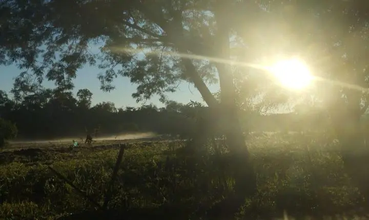 PREVISÃO DO TEMPO: Frio intenso e geada marcam o início desta quarta-feira (8)