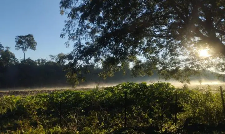 PREVISÃO DO TEMPO: Frio se mantém nesta terça-feira (14)