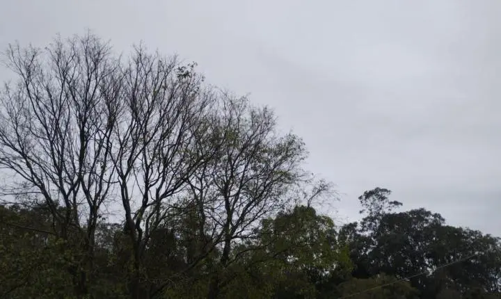 PREVISÃO DO TEMPO: Instabilidade segue nesta sexta (7), com chuva e queda nas temperaturas