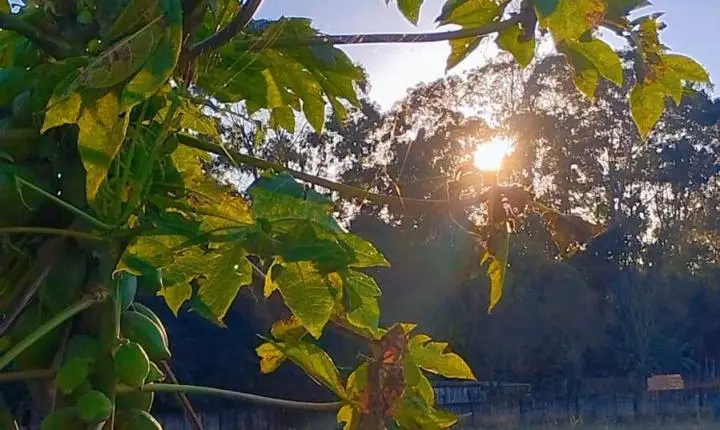 PREVISÃO DO TEMPO: Julho encerra com predomínio de sol e temperaturas elevadas