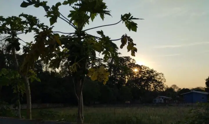PREVISÃO DO TEMPO: sexta-feira (28), de sol e calor em Santa Helena e região