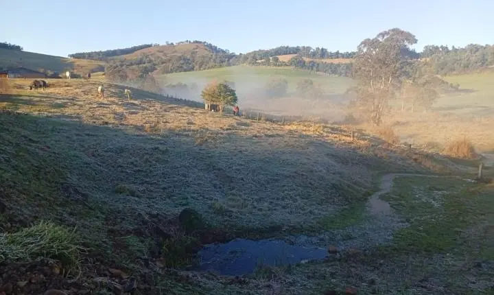PREVISÃO DO TEMPO: Temperaturas próximas de 0°C e geada marcam a quarta-feira (24), em Santa Helena e região