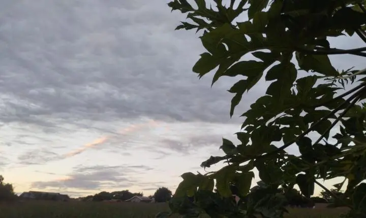 PREVISÃO DO TEMPO: Terça-feira (15), começa chuvosa, mas sol reaparece em Santa Helena e região