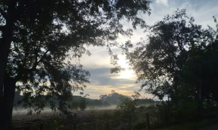 PRVISÃO DO TEMPO: Dia começa com nevoeiro, mas sol predomina nesta quarta-feira (2)