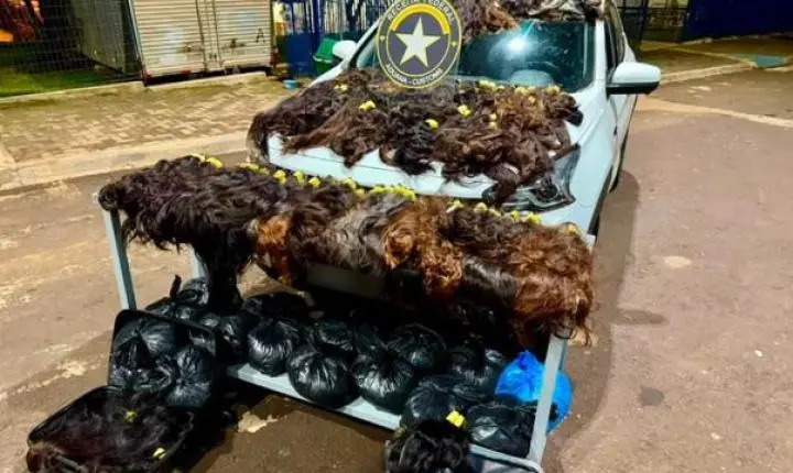 Receita Federal apreende 148 kg de cabelo humano avaliados em até R$ 1 milhão