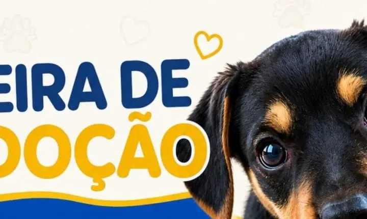 Santa Helena promove Feira de Adoção do Canil Municipal neste sábado