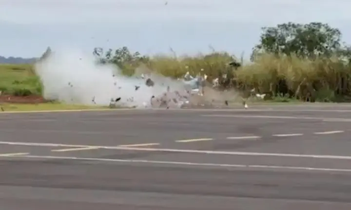 Simulado de ameaça de bomba mobiliza PF e Bope no Aeroporto de Foz do Iguaçu