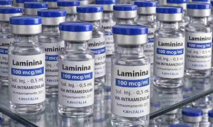 Testes clínicos fase 1 da polilaminina começam este mês